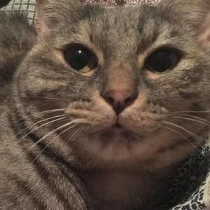 Meet your Posher, Mimi